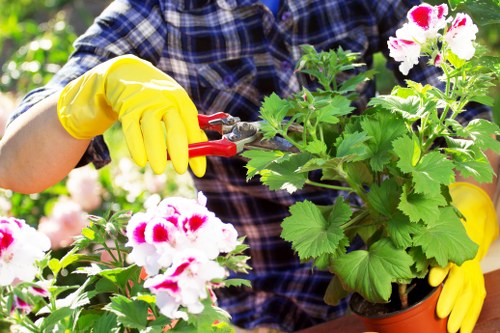 Gardener mowing a lawn in Wandsworth property