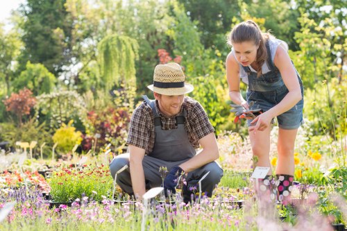 A gardener and a young woman are working together in a vibrant, well-maintained garden with a variety of flowering plants and greenery. The gardener, wearing a straw hat and checkered shirt under a grey apron, is kneeling on the lush grass, tending to a small plant or flower bed with gardening tools nearby. The young woman, dressed in a sleeveless top and denim shorts, is standing beside the gardener, holding a pair of pruning shears and assisting with the plant care. The garden features a mix of colorful flowers in shades of pink, purple, and yellow, bordered by flower beds and pathways. In the background, there are tall trees and well-trimmed shrubs, indicating a spacious outdoor area, possibly part of a residential front or back garden in Wandsworth. The scene suggests active gardening activity during daylight with natural sunlight illuminating the scene, showcasing the outdoor space's well-kept condition, suitable for a gardening, lawn care, or landscaping service website.