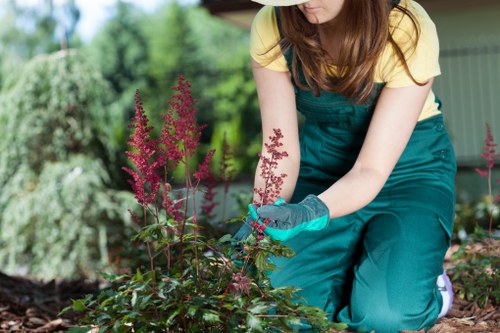 Garden clearance crew removing overgrowth in an urban garden