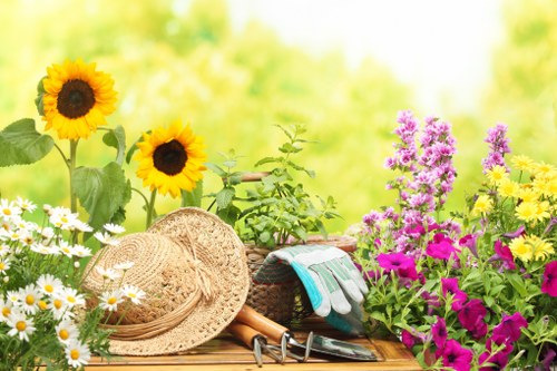A vibrant garden scene featuring a variety of flowering plants and garden tools arranged on a wooden surface. Prominent are three large sunflowers with bright yellow petals and dark centers, alongside clusters of small white daisies with yellow centers, and purple and pink flowers adding colour to the lush green foliage. A woven straw hat, gardening gloves, and pruning shears are casually placed among the plants, suggesting recent gardening activity. In the background, a well-maintained lawn with dense grass, bordered by a hedge or shrubbery, extends into a softly blurred outdoor environment under warm, natural sunlight. The scene exemplifies a neat and inviting outdoor space typical of a residential garden in Wandsworth, reflecting professional gardening services such as lawn mowing and planting care, with an emphasis on healthy, managed greenery and flowerbeds prepared for seasonal maintenance.