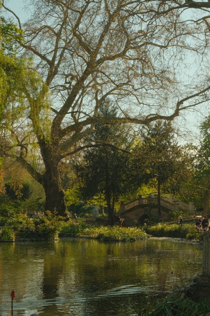 A tranquil riverside scene along the Putney Embankment featuring calm, reflective water with a few small, colorful boats moored along the bank. The garden area in the foreground displays well-maintain
