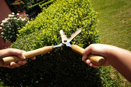 Professional lawn mowing service in Wandsworth
