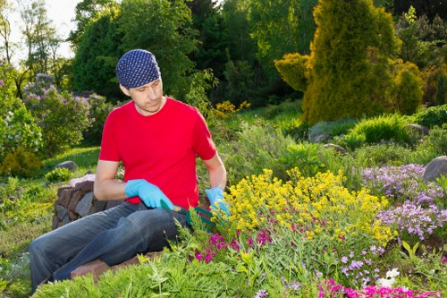 Healthy green lawn being mowed in Wandsworth garden